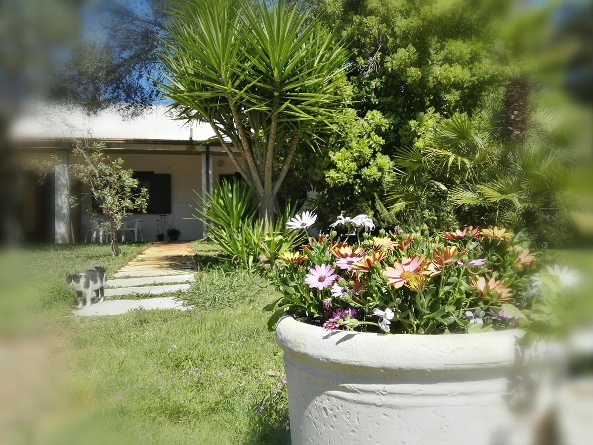 Missipezza Residence A Frassanito アリミニ エクステリア 写真